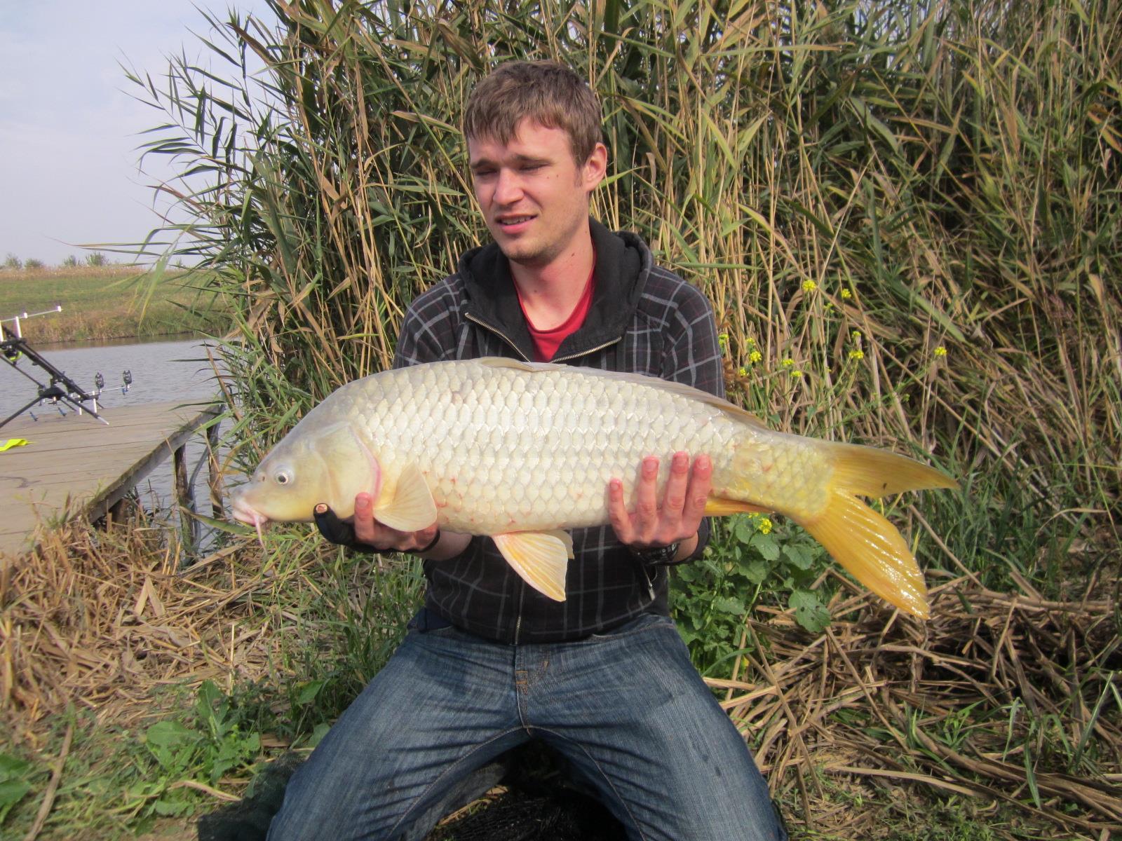 Carp mad - img1056.JPG